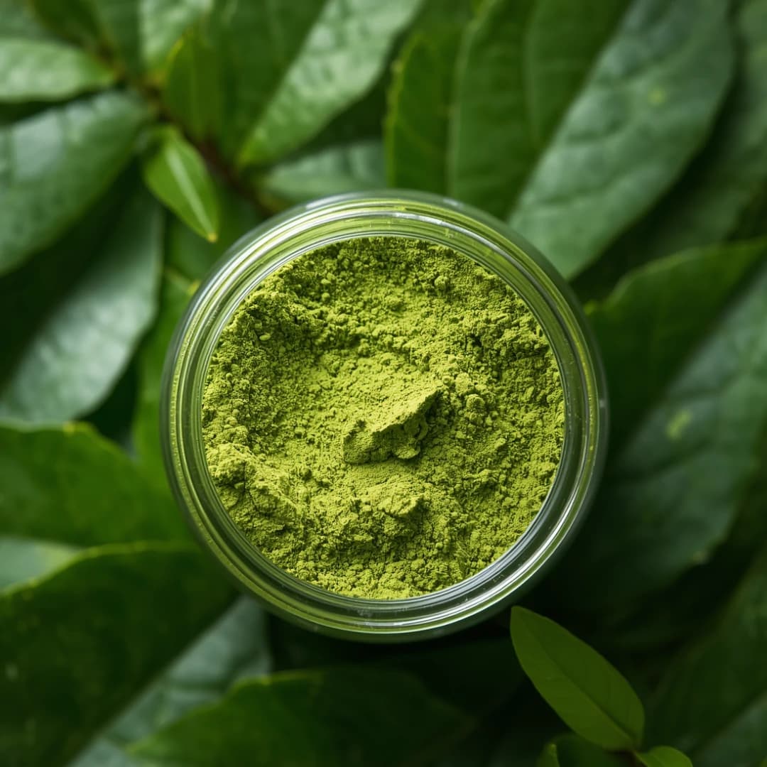 Pure Organic Moringa Leaf Powder